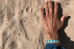 Bear-print-by-Colleen-Cooley